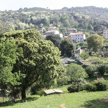 Apartament A Cardiccia Loc Saisonnieres Piana Piana  Zewnętrze zdjęcie